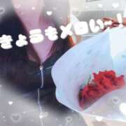 ヒメ日記 2026/02/21 22:13 投稿 桜花(おうか)♥気品と美の原点 美魔女コレクション