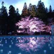 ヒメ日記 2026/07/16 11:21 投稿 桜花(おうか)♥気品と美の原点 美魔女コレクション