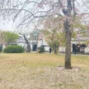 ヒメ日記 2025/04/12 16:41 投稿 さよ【マジ惚れする可愛さ♡】 LIPS(リップス)