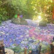 ヒメ日記 2025/06/29 17:22 投稿 さよ【マジ惚れする可愛さ♡】 LIPS(リップス)