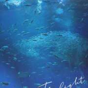 ヒメ日記 2025/08/08 14:10 投稿 まりね 池袋あられ