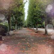 ヒメ日記 2025/11/05 12:13 投稿 まりね 池袋あられ