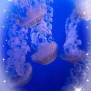 まりね まりねです❣ 池袋あられ