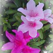 りんね りんねです💖 池袋あられ