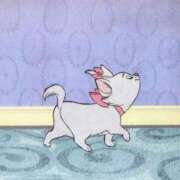 ヒメ日記 2025/01/22 12:20 投稿 れんか 中洲秘密倶楽部