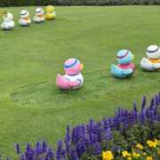 ヒメ日記 2025/05/26 12:35 投稿 れんか 中洲秘密倶楽部