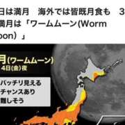 ヒメ日記 2025/03/14 19:44 投稿 水野 MadameRest(マダムレスト)