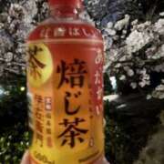 ヒメ日記 2025/04/07 18:58 投稿 水野 MadameRest(マダムレスト)