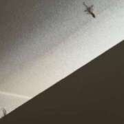 ヒメ日記 2025/05/22 15:47 投稿 水野 MadameRest(マダムレスト)