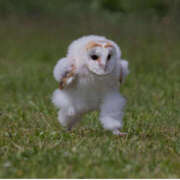 ヒメ日記 2025/05/30 08:35 投稿 水野 MadameRest(マダムレスト)