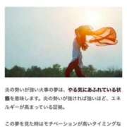 ヒメ日記 2025/06/30 08:24 投稿 水野 MadameRest(マダムレスト)