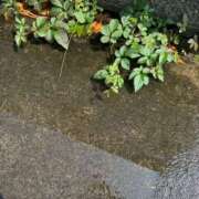 ヒメ日記 2025/07/06 14:16 投稿 水野 MadameRest(マダムレスト)