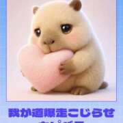 ヒメ日記 2026/01/08 15:10 投稿 水野 MadameRest(マダムレスト)