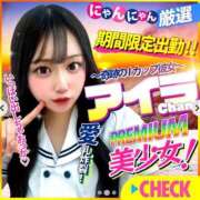 ヒメ日記 2025/09/19 22:29 投稿 アイラ きらめけ！にゃんにゃん学園in大宮