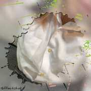 ヒメ日記 2025/08/30 08:55 投稿 りおん 西川口マーメイド