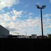 ヒメ日記 2025/01/20 09:34 投稿 三影えま 五十路マダム 徳島店