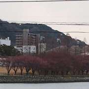 三影えま おはようございます(^o^) 五十路マダム 徳島店