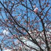 三影えま 待機中 五十路マダム 徳島店