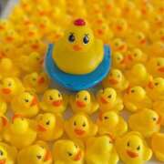 ヒメ日記 2024/12/25 10:40 投稿 あんず One More奥様 大宮店