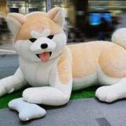 ヒメ日記 2026/03/21 17:00 投稿 あんず One More奥様 大宮店