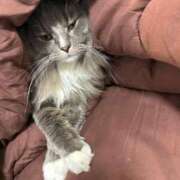 ちあ 読んで欲しいですお知らせ↓ あふたーすくーる本店