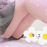 ヒメ日記 2026/04/02 19:17 投稿 りこ ミルキーウェイ（近江八幡）