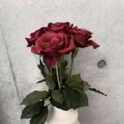 ヒメ日記 2025/01/10 06:16 投稿 ナゴミ ラブコレクション