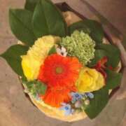 ヒメ日記 2025/01/17 05:46 投稿 ナゴミ ラブコレクション