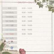 ヒメ日記 2025/04/08 00:01 投稿 ナゴミ ラブコレクション