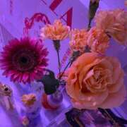 ヒメ日記 2025/06/20 02:31 投稿 ナゴミ ラブコレクション