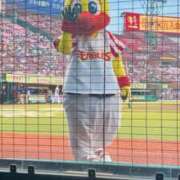 ヒメ日記 2025/07/08 06:01 投稿 ナゴミ ラブコレクション