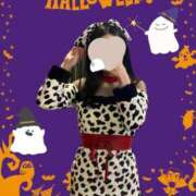 ヒメ日記 2025/10/27 23:46 投稿 ナゴミ ラブコレクション