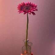 ヒメ日記 2025/11/24 04:46 投稿 ナゴミ ラブコレクション