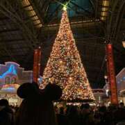 ヒメ日記 2025/12/06 04:46 投稿 ナゴミ ラブコレクション