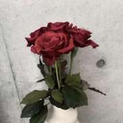 ヒメ日記 2026/01/16 04:46 投稿 ナゴミ ラブコレクション