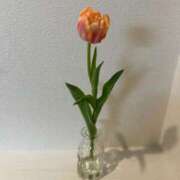 ヒメ日記 2026/03/29 01:16 投稿 ナゴミ ラブコレクション