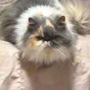 ヒメ日記 2025/09/13 21:37 投稿 海野 熟女の風俗最終章 新横浜店