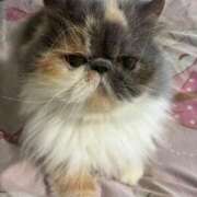 ヒメ日記 2026/03/24 17:22 投稿 海野 熟女の風俗最終章 新横浜店