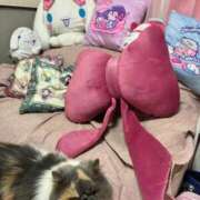 ヒメ日記 2026/03/28 06:32 投稿 海野 熟女の風俗最終章 新横浜店