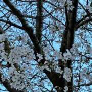 ヒメ日記 2026/03/30 13:46 投稿 海野 熟女の風俗最終章 新横浜店