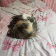 ヒメ日記 2026/03/30 23:58 投稿 海野 熟女の風俗最終章 新横浜店