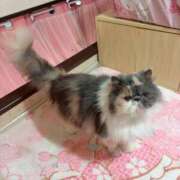 ヒメ日記 2026/03/31 14:59 投稿 海野 熟女の風俗最終章 新横浜店