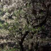 ヒメ日記 2026/04/07 11:16 投稿 海野 熟女の風俗最終章 新横浜店