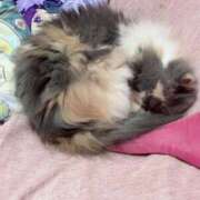 ヒメ日記 2026/04/08 17:46 投稿 海野 熟女の風俗最終章 新横浜店