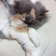 ヒメ日記 2026/04/23 22:44 投稿 海野 熟女の風俗最終章 新横浜店