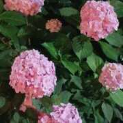 ヒメ日記 2025/06/13 15:15 投稿 小野 華恋人(カレント)