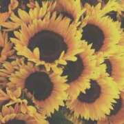 ヒメ日記 2025/07/31 16:00 投稿 小野 華恋人(カレント)