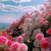 ヒメ日記 2025/08/18 14:16 投稿 小野 華恋人(カレント)