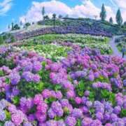 ヒメ日記 2025/09/27 12:50 投稿 小野 華恋人(カレント)