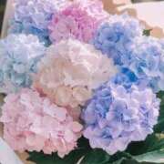 ヒメ日記 2025/09/29 10:22 投稿 小野 華恋人(カレント)